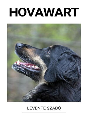 cover image of Hovawart
